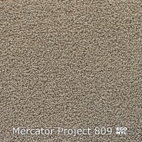 Mercator Project-Econyl 809